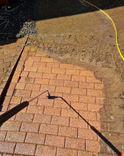 20240730_122929-qvn8i5xkinv1qvhkz6jl1ugp83stuwezhcak1f12tk